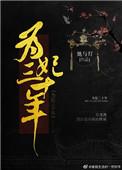 为妃三十年书评