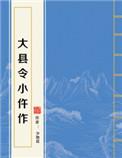 大县令小仵作书评