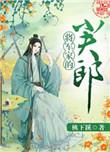 将军家的小夫郎txt