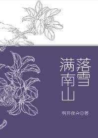 落雪满南山完整版txt