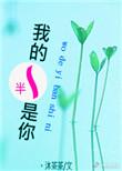我的一半是你 沐茶茶 讲了什么