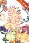 裙子全部类型
