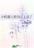 小机器人把自己上交了 作者茶小娰