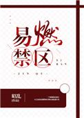 易燃禁区谢知影
