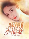 重生九零麻辣小医妻