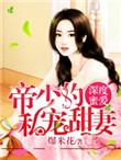 深度蜜爱帝少的私宠暖妻全文免费阅读