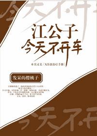 江公子今天不开车晋江评论