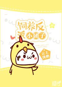 饲养反派小团子作者