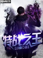 特战之王switch