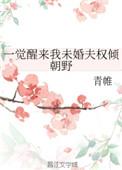 一觉醒来我未婚夫权倾朝野 青帷讲什么