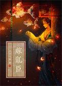 嫁乱臣讲的什么