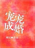 宠宠成婚周沅讲的什么