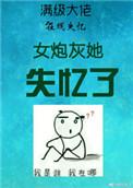 炮灰女n