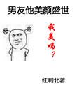男友他美颜盛世无弹窗