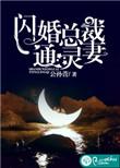 闪婚总裁小娇妻全集免费