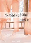 小书呆考科举txt宦海TXT