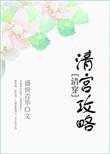 清宫攻略txt