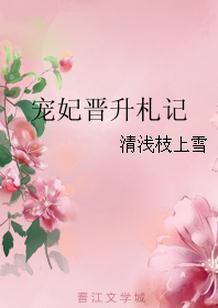 宠妃升位记