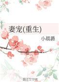 妻宠重生小晨潞