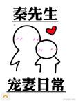 秦先生宠妻日常晋江文学城