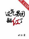 过气男明星