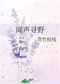 闻声寻野TXT