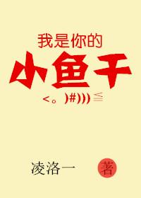 你是我的小金鱼是什么意思