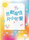 总裁捉住只小可爱txt