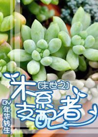 末世之木系支配者攻受是谁