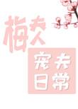 梅夫人宠夫日常漫画