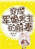 穿成军婚男主的前妻穿书