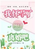 所以离婚吧txt