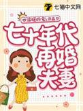 七十年代再婚夫妻阅读