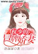 权少撩妻上瘾全文免费阅读