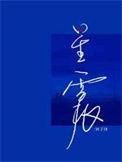 星震宇集团