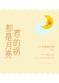 月亮惹的祸 歌词