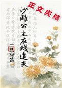 沙雕公主在线追夫讲的是什么
