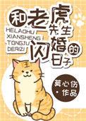 和老虎先生闪婚的日子讲的什么