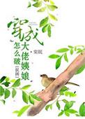 穿成民国反派夫人[穿书