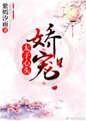 太子心头娇宠紫嫣汐雨