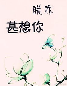 朕亦甚想你晋江文学城