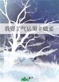 我娶了女主