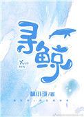 寻灵大冒险