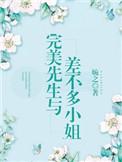 完美先生与差不多小姐原著