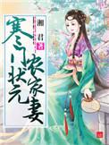 寒门状元农家妻女主