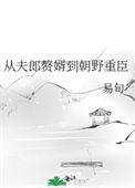 从夫郎赘婿到朝野重臣by