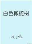 白色橄榄树电视剧完整版免费观看