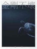 金刚免费高清在线观看完整版