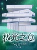 极光之恋含义