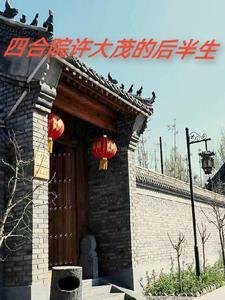 四合院之许大茂精彩人生